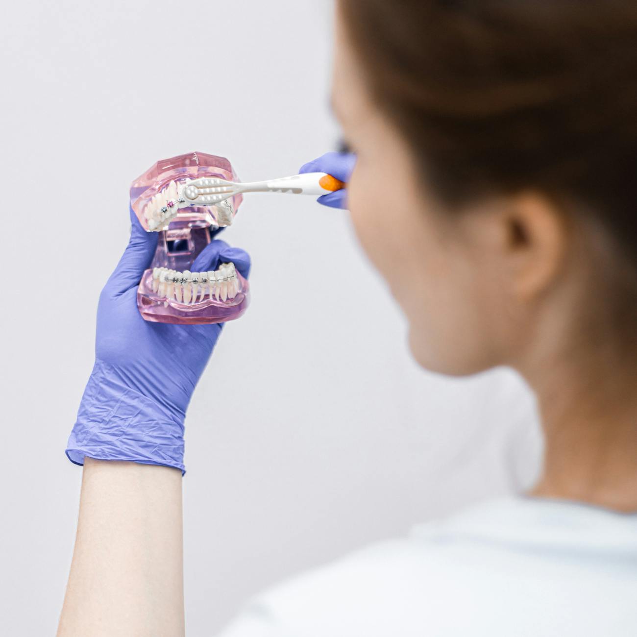 dentist presenting dental hygiene